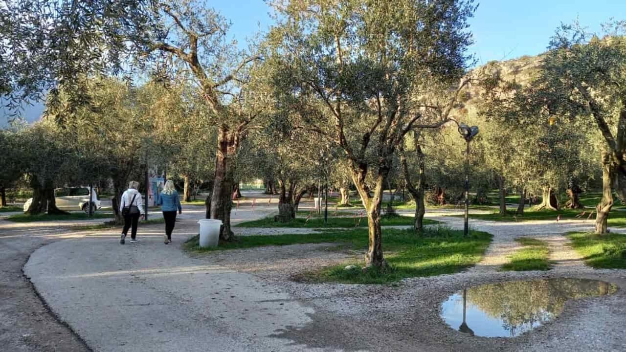 Casa Nataly Bed & Breakfast Torbole Sul Garda Ngoại thất bức ảnh